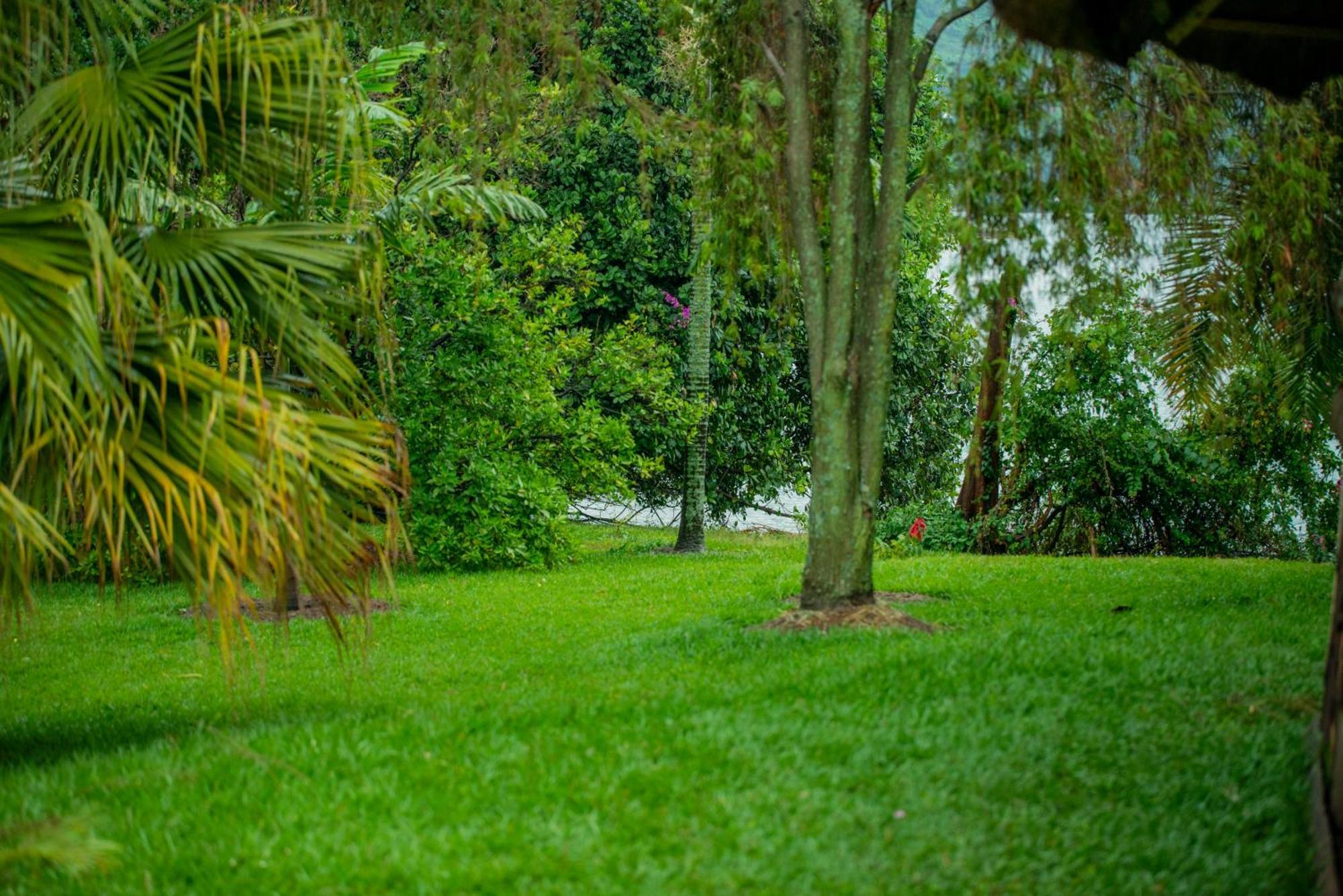 גיסני Paradise Malahide מראה חיצוני תמונה